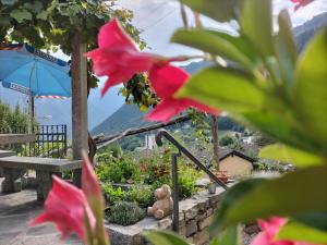 Nespecifikovaný výhled na hory nebo výhled na hory při pohledu z bed and breakfast