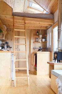 a tiny house with a ladder in a kitchen at Aileen - Unique tiny house with wood fired roll top bath in heart of the Cairngorms in Ballater