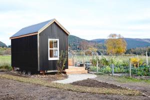 a black tiny house in a garden at Aileen - Unique tiny house with wood fired roll top bath in heart of the Cairngorms in Ballater