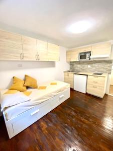 Η κουζίνα ή μικρή κουζίνα στο Luna's Cozy Apartment, skiin skiout in centre