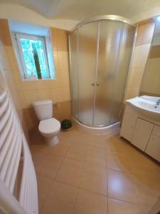 a bathroom with a shower and a toilet and a sink at Chalupa Nela apartmány Háj u Loučné pod Klínovcem in Loučná pod Klínovcem