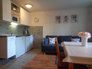 Kuchyň nebo kuchyňský kout v ubytování Chalupa Nela apartmány Háj u Loučné pod Klínovcem
