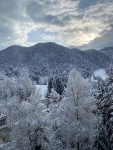 겨울의 Poiana Brasov - Alpin Resort Hotel - Apartament 2708