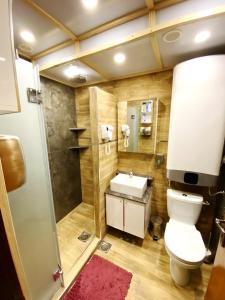 a bathroom with a toilet and a shower and a sink at Apartman Pod bregom - Gondola 180m in Brzeće