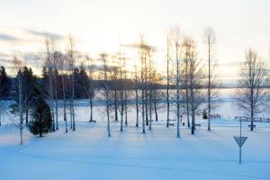 Scandic Bollnäs في بولناس: حديقة مغطاة بالثلوج مع الأشجار والمقاعد في الثلج