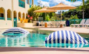 dos sombrillas azules y blancas en una piscina en Shingley Beach Resort - Whitsundays, en Airlie Beach