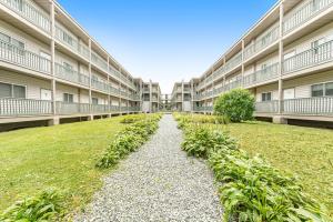 an empty courtyard of an apartment building with plants at Pinnacle in Beech Mountain +26 photos