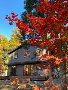 a gray house with red leaves on a tree at Hakuba Kaede House in Hakuba