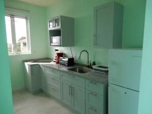 a kitchen with green cabinets and a sink and a refrigerator at Oistins Bayview Apartments in Christ Church