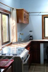 a kitchen with a stove and a sink at Pool house, Casa Luna in Pavones