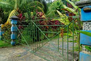 a gate in a garden with a bunch of plants at Pool house, Casa Luna in Pavones
