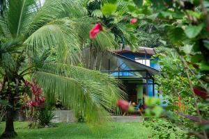 a palm tree in front of a house at Pool house, Casa Luna in Pavones