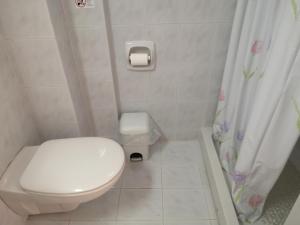 La petite salle de bains est pourvue de toilettes et d'un rideau de douche. dans l'établissement IRINI-Studio 8, à Kavos
