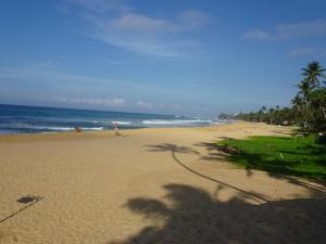 a view of a beach with the ocean and palm trees at Suite Lanka in Hikkaduwa