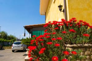 un arbusto de flores rojas delante de un edificio en Hotel California en Ariccia
