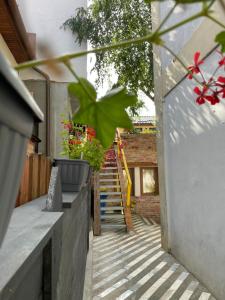 Fotografie z fotogalerie ubytování Apartament Art Cluj v destinaci Kluž