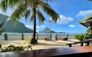 a palm tree and a view of the water at Chislyk Inn in El Nido