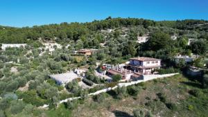 Táj Show holiday homes közelében