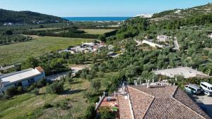Táj Show holiday homes közelében