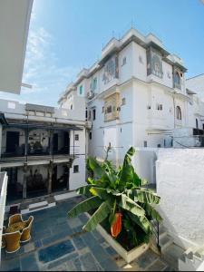 um grande edifício branco com uma planta em frente em Little Garden Guest House em Udaipur