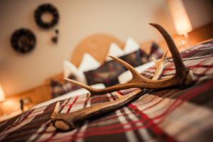 Photo de la galerie de l'établissement Siegi - aparthotel & retreat, à Parcines