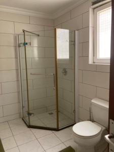 uma casa de banho com uma cabina de duche em vidro e um WC. em Bertha's Court D-Plus Apartments em Greenhill