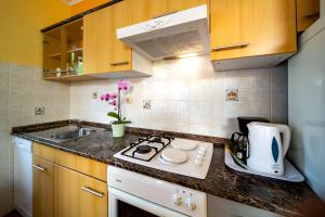 eine Küche mit einer Spüle und einer Arbeitsplatte in der Unterkunft Kastell Apartments in Lopar