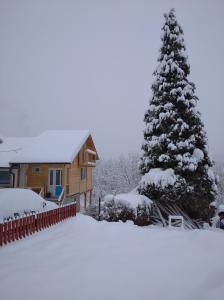 ルーディックにあるApartman Čivovićの山小屋前の雪に覆われたクリスマスツリー