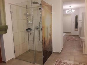 a shower with glass doors in a room at Feriendomizil Berta Benzingen in Winterlingen