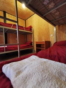 a bedroom with two bunk beds in a room at חאן במדבר ארץ ירוקה in Almog