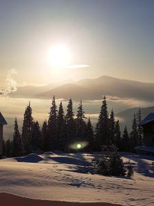 a sun setting over a snow covered mountain with trees at Горизонт in Dragobrat