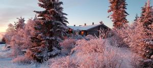 una cabaña en la nieve junto a algunos árboles en Polaris Homes Huippu, en Syöte
