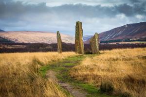 a field with three cypress trees and a dirt road at Kinloch Hotel, Isle of Arran in Blackwaterfoot