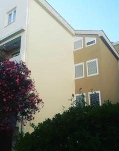 a white and brown building with a tree and flowers at Apartments Vila Anastasia in Budva