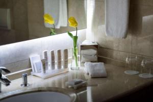 Ένα μπάνιο στο Radisson Blu Hotel, Beirut Verdun