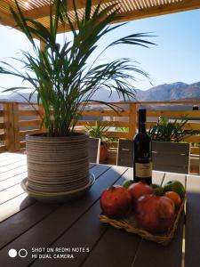 Beʼer Oraאלת המדברGoddess of the desert的一张桌子上放着一瓶酒和一篮水果