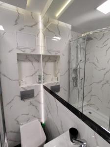 Ένα μπάνιο στο Apartament pod Zamkiem +5 φωτογραφίες
