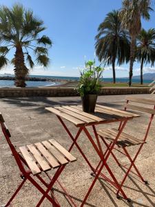 einem Picknicktisch, einer Bank und Palmen in der Unterkunft Apartamento frente al Mar - Pedregalejo in Málaga