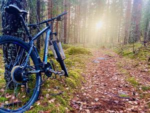 uma bicicleta estacionada num trilho numa floresta em 5 bed country home only 2 hrs north of Stockholm em Garpenberg