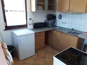 a small kitchen with a sink and a refrigerator at Ferienwohnung Jahns Hof in Rudolstadt
