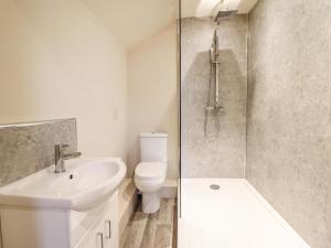 ein Badezimmer mit Toilette, Waschbecken und Dusche in der Unterkunft Bodaioch Cottage in Caersws + 36 Fotos