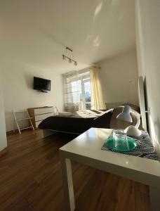 TV a/nebo společenská místnost v ubytování Yaremche House