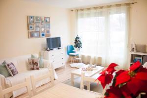 salon z choinką świąteczną w oknie w obiekcie Azúr Apartman Keszthely w mieście Keszthely