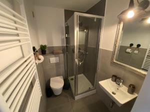 a bathroom with a shower and a toilet and a sink at Pension Haus Talblick in Winterberg