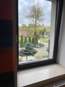 Vonkajšia záhrada v ubytovaní Apartament Janek