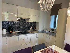 Kuchyňa alebo kuchynka v ubytovaní Apartament Janek