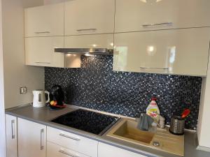 Kuchyňa alebo kuchynka v ubytovaní Apartament Janek