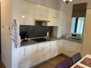 Kuchyňa alebo kuchynka v ubytovaní Apartament Janek
