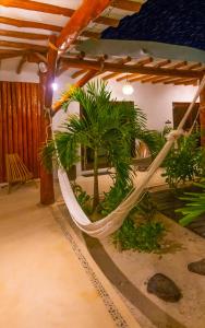 Zahrada ubytování Mis Sueños Holbox
