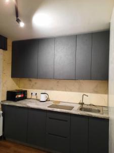 Dapur atau dapur kecil di OazisKiev Квартира з власною сауною-хамамом!